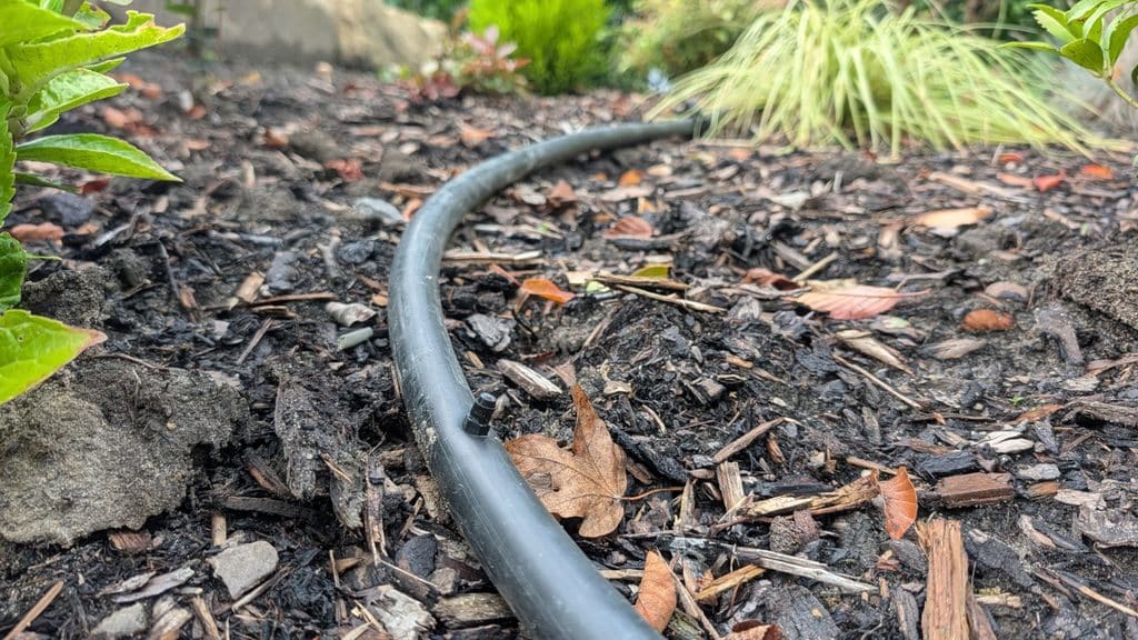 Wie smart darf mein Garten eigentlich sein? Bewässerungsschlauch von Regenmeister
